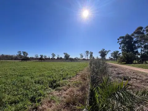 LOTES SOBRE RUTA 135