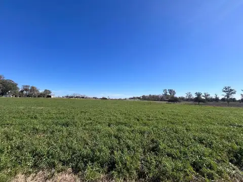 Terreno en Venta de 7225,0 m2