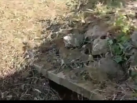 Terreno en Venta 20  mts Fondo