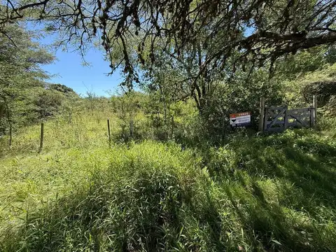 Ruta Provincial 5 100
