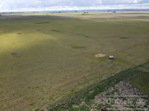 CAMPO 80 % AGRÍCOLA EN VENTA –  147 has - CLARAZ, NECOCHEA