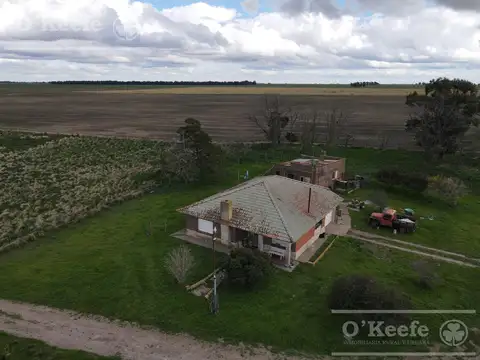 CAMPO 80 % AGRÍCOLA EN VENTA –  147 has - CLARAZ, NECOCHEA