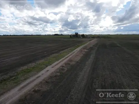 CAMPO 80 % AGRÍCOLA EN VENTA –  147 has - CLARAZ, NECOCHEA