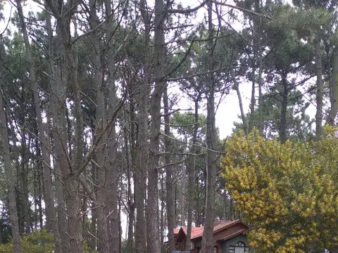 Terreno en Venta en Mar De Las Pampas, USD 75.000