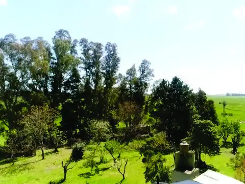 3681