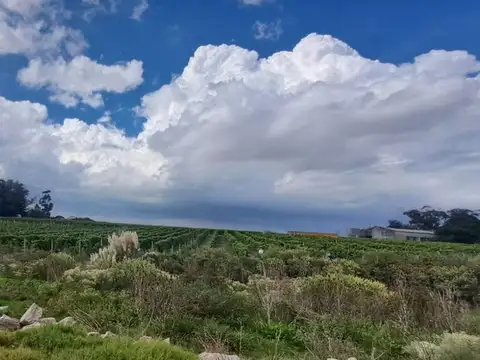 Terreno en Alquiler en Paso De La Arena, USD 2.000
