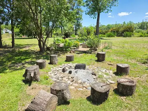 Local en Alquiler 45 años