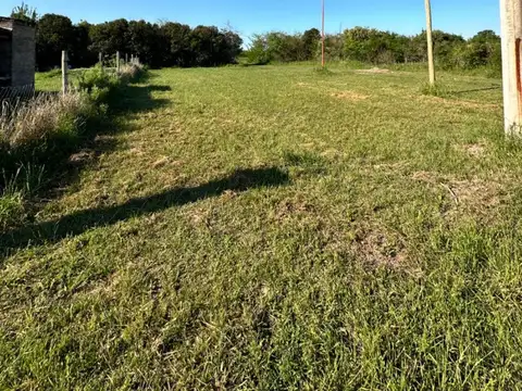 ALICIA MOREU DE JUSTO - LOTE 18 300