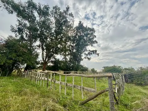 35 Has Agrícolas – Ganaderas en Magdalena BS AS