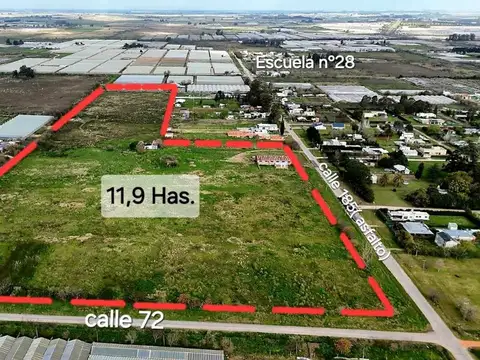 CAMPO EN VENTA EN 185 y 72. 12 HECTAREAS