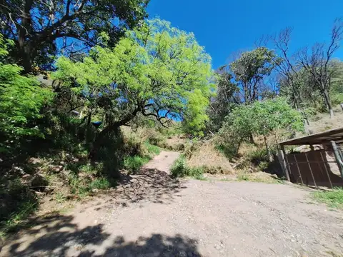 El Jote