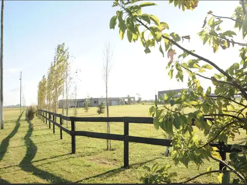 Terreno en Venta en Cañuelas, USD 29.000