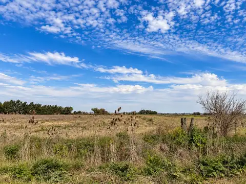 VENTA DE CAMPO EN IBARLUCEA PARA LOTEO