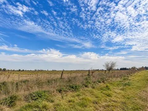 VENTA DE CAMPO EN IBARLUCEA PARA LOTEO