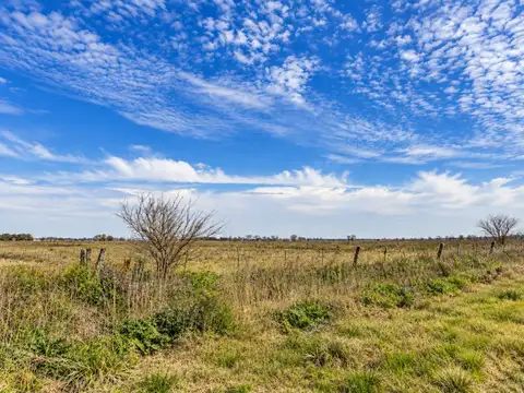 VENTA DE CAMPO EN IBARLUCEA PARA LOTEO