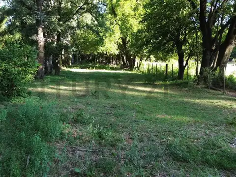 Terreno en Venta en Venado Tuerto, USD 45.000