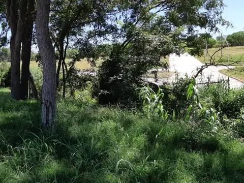 Terreno en Venta de 300,0 m2