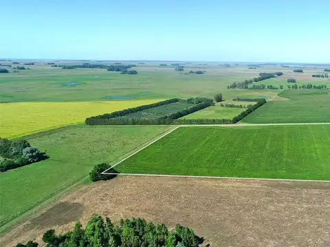 Mar Chiquita - 19 has. Agricola