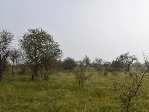 Terreno en Venta en Federal, USD 350.000