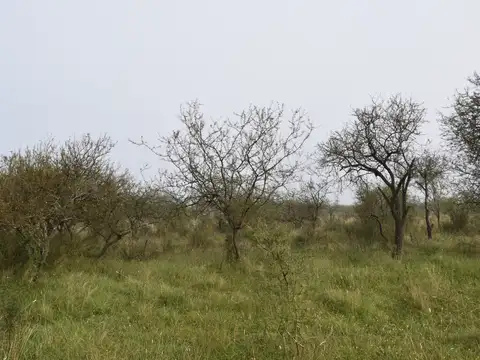 Terreno Amplio En Federal