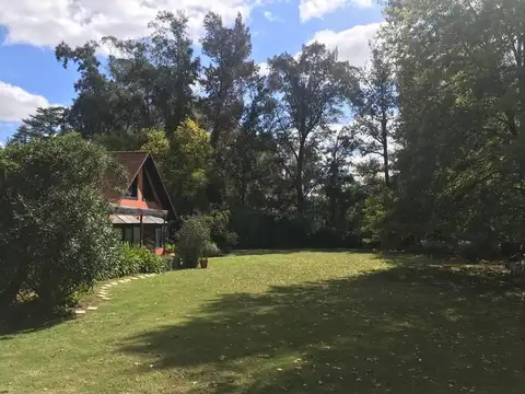 martindale