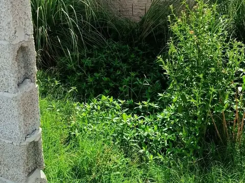 Terreno en Venta en Empalme Olmos, USD 14.000