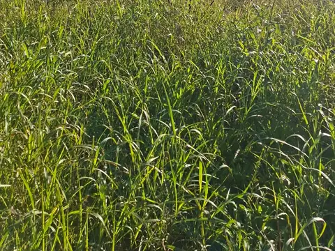 Terreno en Venta de 8307,0 m2