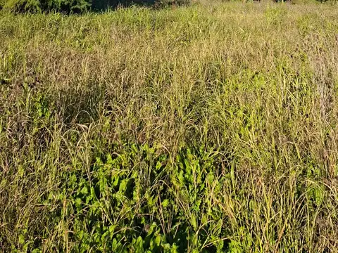 Vendo Gran Terreno Zona Brown y Blas Pareras