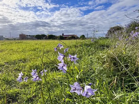 Terreno en Venta de 450,0 m2