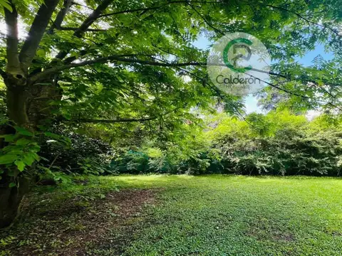 Santo Domingo 5300