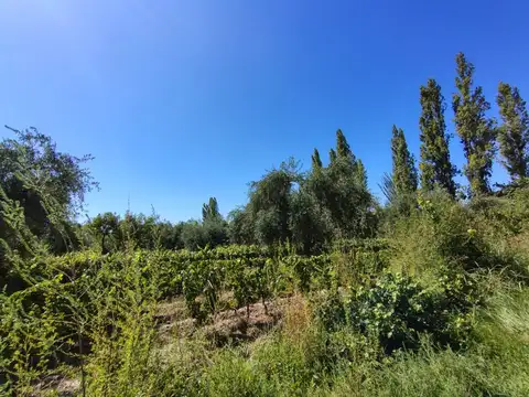 Martin Zapiola y Terrada