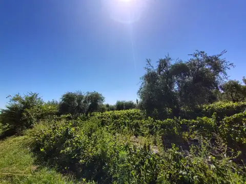 Terreno en Venta en Maipu, USD 190.000