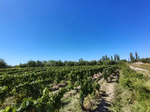 Terreno en Venta en Maipu, USD 190.000