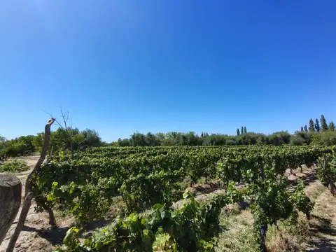 Martin Zapiola y Terrada