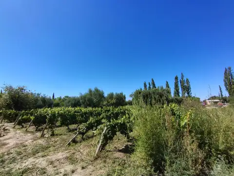 Terreno en Venta de 12000,0 m2