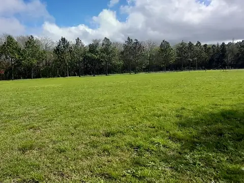 Terreno en Venta en Countries y Barrios Cerrados en Coronel Brandsen, USD 25.000