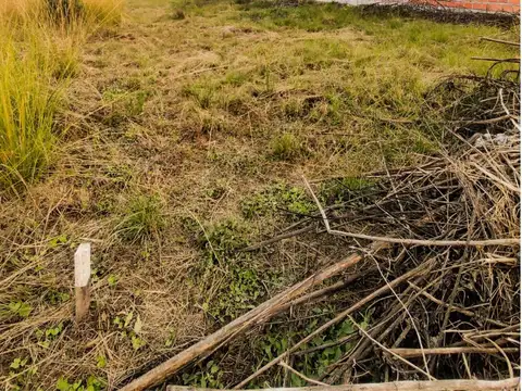 Terreno en Venta en Los Alisos, USD 19.000