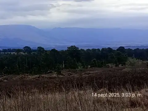 Terreno en Venta de 33109,0 m2