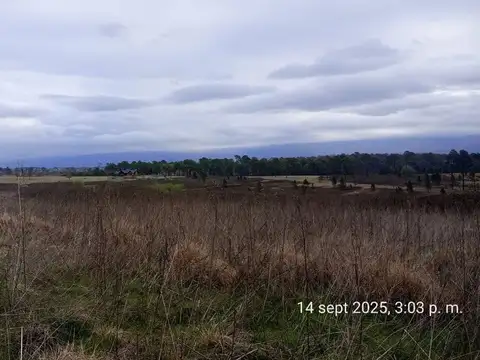 SE VENDE HERMOSO CAMPO DE 3 ,3 HAS EN YACANTO