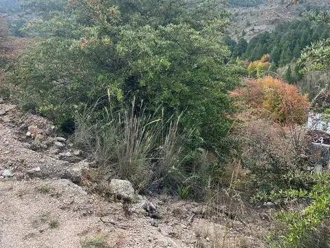 Terreno en Venta de 2709,0 m2