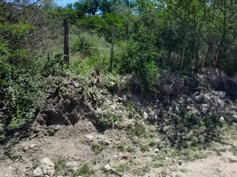 Ruta 14