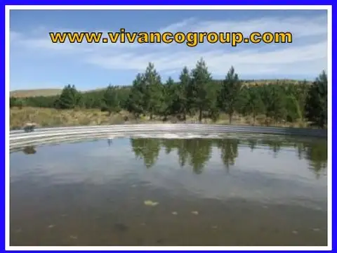 Campo en Venta de 748  ha