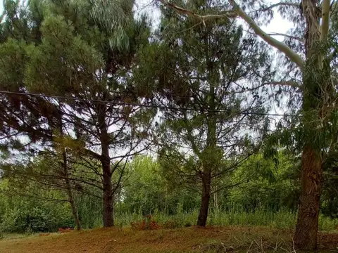 Terreno en Venta en Santa Teresita, USD 40.000