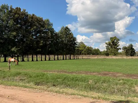 Terreno en Venta de 1140,0 m2