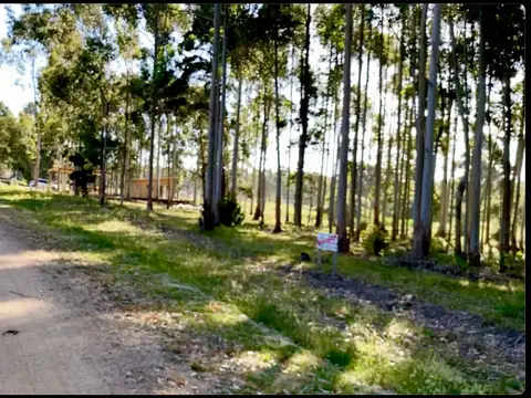 Excelente lote en chacras del Pinar