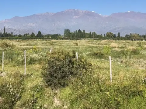 Ghilardi