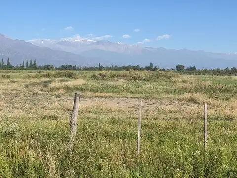 Campo 25000 m2 en Venta en Altamira Valle de Uco