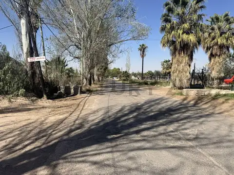 Finca Lunlunta Maipu