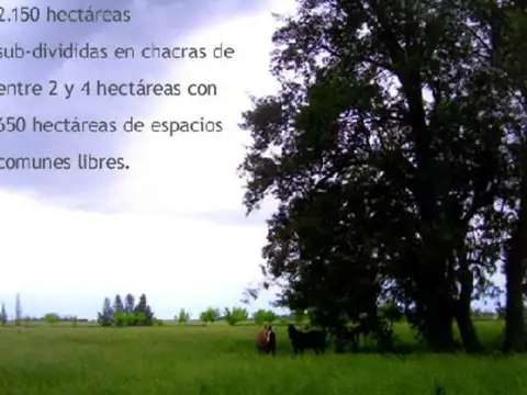 Terreno en Venta de 31849,0 m2