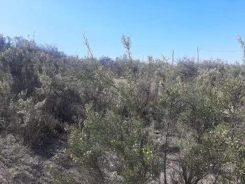 Lote a la venta en Estancia Vieja. (L446)
